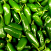 Jalapeno Pepper Plants Live 4–6 Inch Tall in 4” Pot, Hot Green Chili Pepper Plant